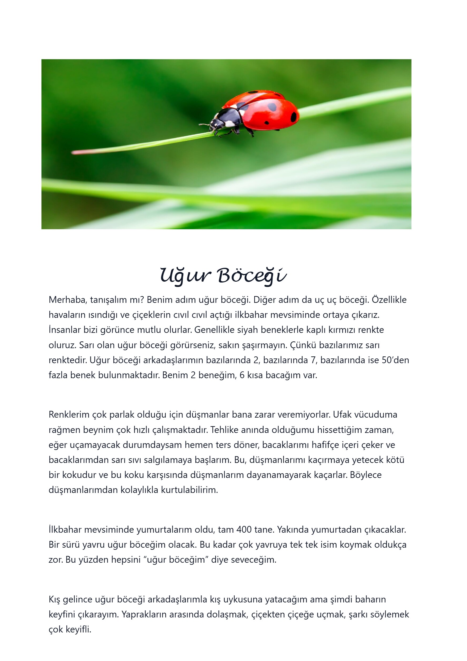 Kitap